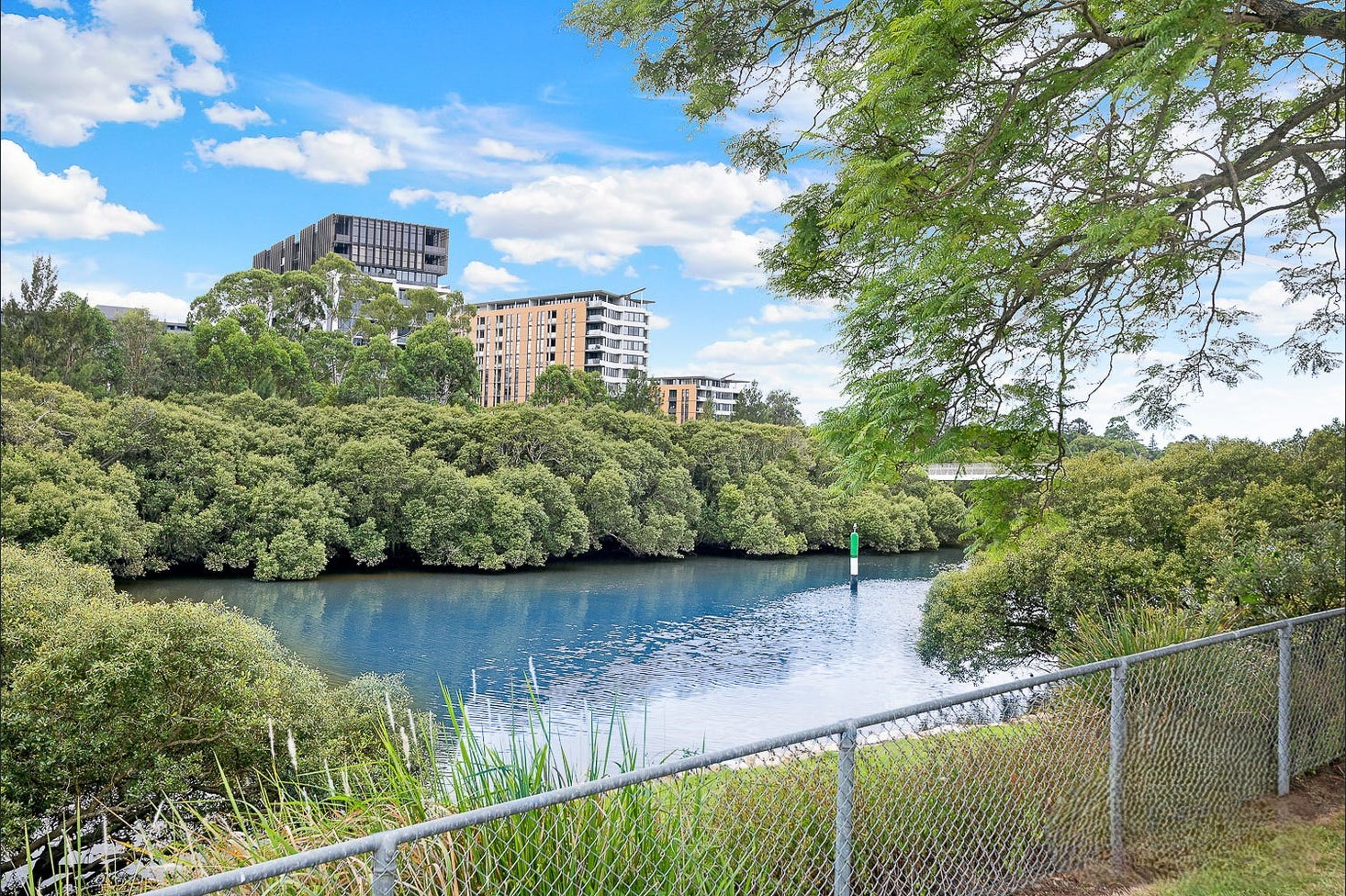 12 Noller Parade Parramatta NSW 2150 (19).jpg