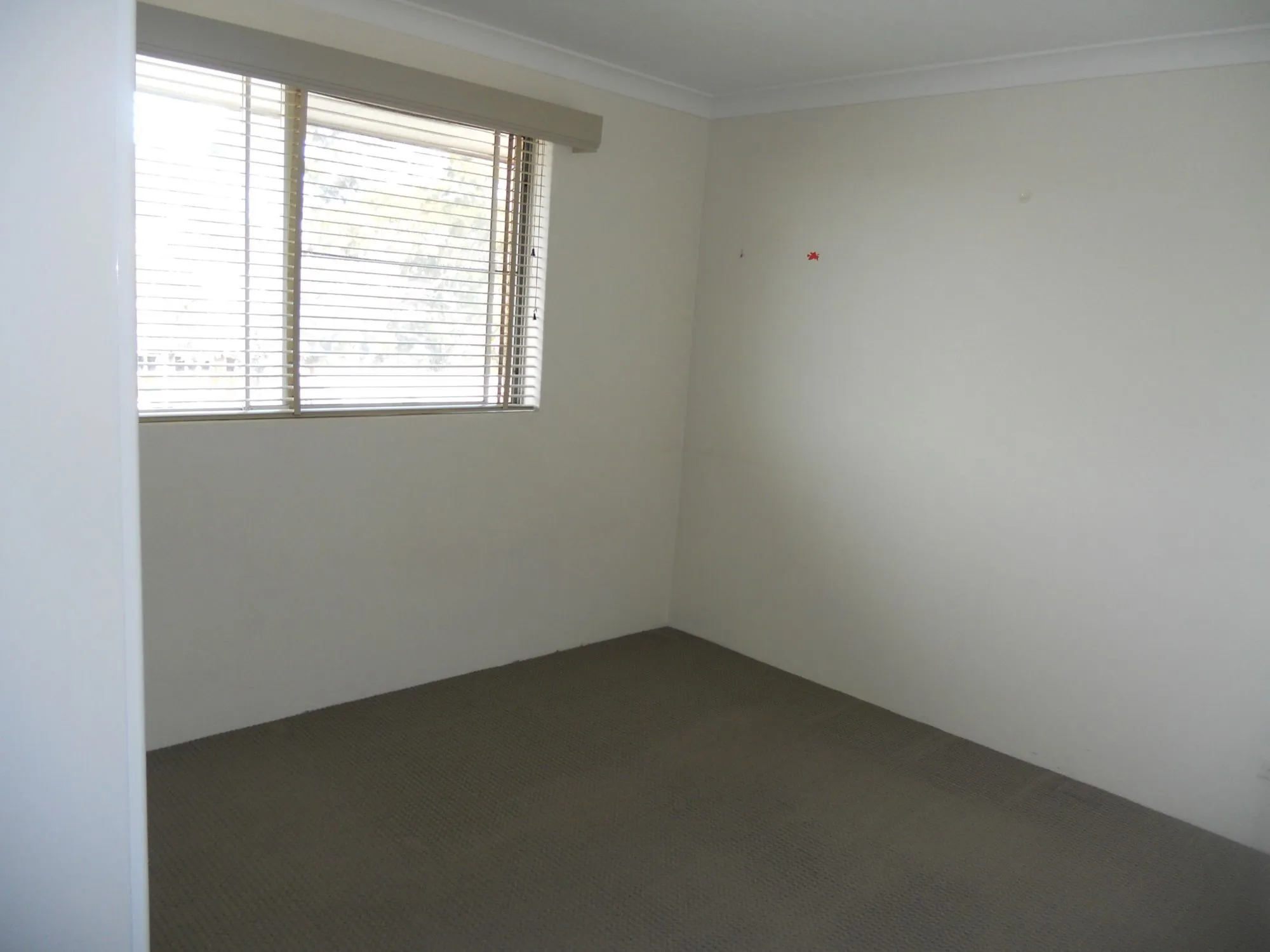 5-1-lachlan-street-warwick-farm-nsw-2170 (1).webp